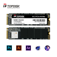 Topdisk 2280 Nvme M.2 PCIe SSD Solid State 128 Gb 256 Gb 512 Gb untuk PC Desktop
