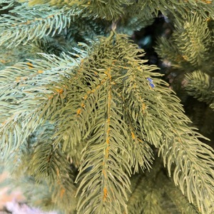 Venta al por mayor de árbol de Navidad artificial PE + PVC árbol de Navidad completo artificial abeto del valle del norte incluye soporte 6-7 pies - Product Image 4