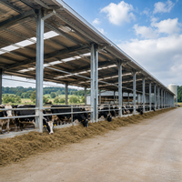 Bâtiment agricole préfabriqué en acier galvanisé pour l'entreposage du foin et des aliments, avec toit métallique