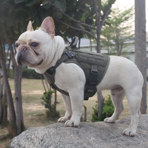 Clip de laisse avant sans traction, panneau de crochet et de boucle gilet MOLLE de chien de travail de grande taille harnais tactique pour chien avec poignée - Product Image 6