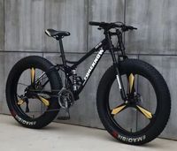 Sepeda Gunung SL-AM26155-24S Saiguang, Sepeda Pantai Suspensi Baja Murah dengan Rangka Lunak, Sepeda Gunung Magnesium MTB, Sepeda Salju, Laris Terjual