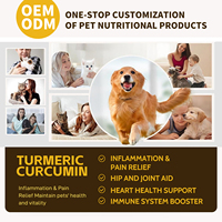 Incroyable Curcuma pour Chiens : Antioxydant Naturel pour Animaux, Élimine les Douleurs Articulaires et l'Inflammation, Soutien Immunitaire Naturel pour Chiens et Chats