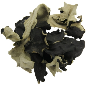 Champignons noirs séchés entiers, crus, cultivés, couleur naturelle 2026 // Mme Reina - Product Image 3