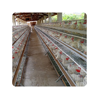 Poulailler de Type A Grande Capacité pour Poules Pondeuses, Cage à Poulets pour 1000 Oiseaux
