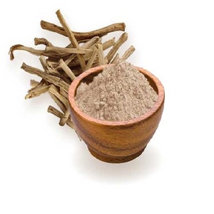 Extracto Herbal Puro y Natural de Shatavari en Polvo, Raíz de Asparagus Racemosus Cuidadosamente Procesada para Uso en Mezclas Nutricionales para la Salud - Product Image 1