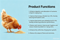 Additif alimentaire enzymatique composé pour le bétail, la volaille, les porcs, les poules pondeuses, les poulets de chair, les canards, les poules, les animaux aquatiques, Xylanase