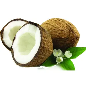 Toplu fiyata yüksek kalite Nicepal Cococnut tozu hindistan cevizi sütü tozu yemek değiştirme içecekleri için