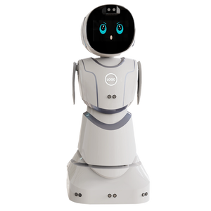 Suntech Commercial Intelligent Welcome <strong>Robot</strong> Q-<strong>Bot</strong> Exhibition Museum Guide Voice Broadcasting Facial Reception Guided - Product Image 4