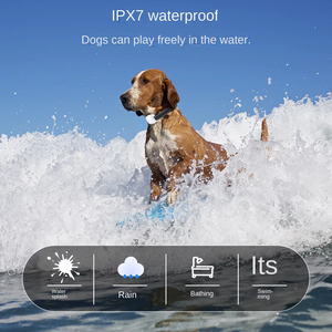 नए आगमन उत्पाद रिचार्जेबल स्मार्ट ई पालतू प्रशिक्षण इलेक्ट्रिक कुत्ते शॉक विरोधी बार्क कॉलर प्रशिक्षण कुत्ते कॉलर - Product Image 5