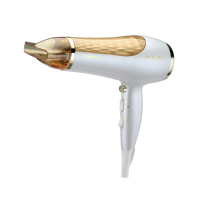 Sèche-cheveux professionnel à moteur sans balais à température constante ergonomique avec logo personnalisé, haute vitesse, pour salon professionnel