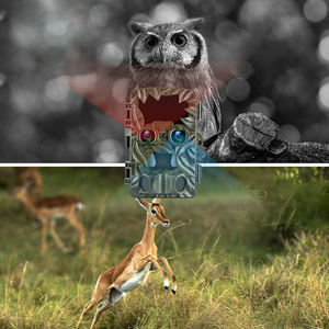 Caméra de chasse à double objectif 4K 20MP avec vision nocturne infrarouge, caméra de sentier étanche pour la surveillance de la faune en extérieur, accessoire - Product Image 3