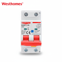 Disjoncteur différentiel électronique avec protection contre les surcharges et les fuites à la terre, modèle WSB1L-80, fournisseur chinois