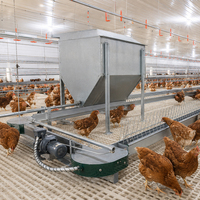 Système d'alimentation en chaîne GREAT FARM pour poulets de chair, équipement d'alimentation automatique à faible consommation de main-d'œuvre pour les élevages de poulets de chair