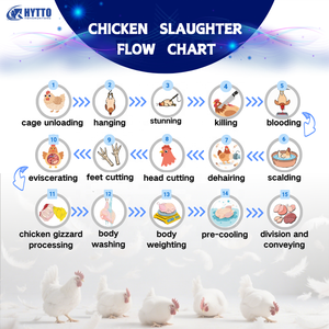 Línea automática <span class=keywords><strong>de</strong></span> procesamiento <span class=keywords><strong>de</strong></span> matanza <span class=keywords><strong>de</strong></span> aves <span class=keywords><strong>de</strong></span> corral a la venta 3000 <span class=keywords><strong>pollos</strong></span> por hora - Product Image 3