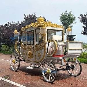 Meilleures ventes : Limousine de luxe économique haut de gamme, voiturette royale électrique de tourisme à chevaux, prix d'usine - Product Image 1