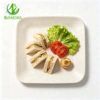 Assiettes carrées SUMKOKA de 10 pouces, conteneur d'emballage alimentaire biodégradable, assiette jetable pour mariage