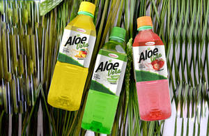 Jugo de <span class=keywords><strong>Aloe</strong></span> Vera Saludable Halal <span class=keywords><strong>Okf</strong></span> de 500 ml, Certificado HACCP, para Niños y Adultos, Gran Venta - Product Image 2