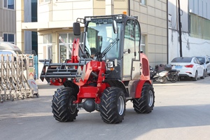 Schneller Versand CE OEM 1000kg Traglast Kompakter Mini-Teleskop-Radlader mit Euro5-Motor - Product Image 6