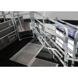 Gabbia per Parto Suini Stile Europeo per Suine da Allevamento |   Lettino da Parto Regolabile per Suini, per Allevamenti di Maiali - Product Image 3