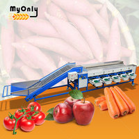 Mijn Pear Kiwi Orange Apple Citrus Maat Sorteermachine Fruit en Groente Micro Maat Sorteermachine