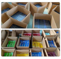 Bandes de Résistance Ajustables Professionnelles en TPE avec Logo Personnalisé, Ensemble de 5 Pièces, Accessoire de Pilates, Ancre de Porte pour Entraînement, Hommes et Femmes