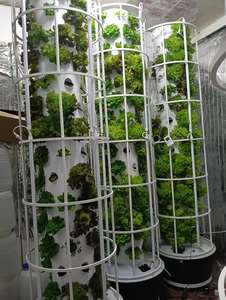 Kits de Sistema de Cultivo Aeropónico en Torre Grande, Torre de Cultivo Vertical Hidropónico para Lechuga/Fresas con Material ABS Duradero - Product Image 2