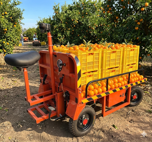 <span class=keywords><strong>Carrello</strong></span> Elettrico a Quattro <span class=keywords><strong>Ruote</strong></span> <span class=keywords><strong>con</strong></span> Batteria, Piattaforma Ribaltabile, per Trasporto Merci, Modello 2026, Rosso, di Grande Successo - Product Image 1
