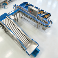 Precisie weegschaal voor het sorteren van aardappelen voor fruit- en groentefabrieken met automatische hefelevator, 1 jaar garantie