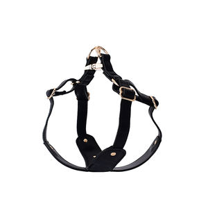 Set personalizzato di imbracatura per cani e guinzaglio regolabile riciclato stile occidentale di lusso impermeabile in pelle vegana Pet pettorina accessori - Product Image 4