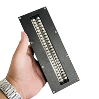 Lampu Pengering Tinta UV 395nm LED 160*20mm untuk Printer Flatbed DIY A3 A4 R1390 L1800 L1300 dengan Print Head DX5 TX800 XP600