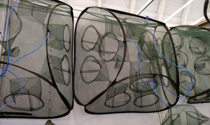 5/9/13 trous pliés Portable trou automatique pêche piège à crevettes filet de pêche crevettes <span class=keywords><strong>carpe</strong></span> attrape Cages filets à mailles piège à crabe - Product Image 6