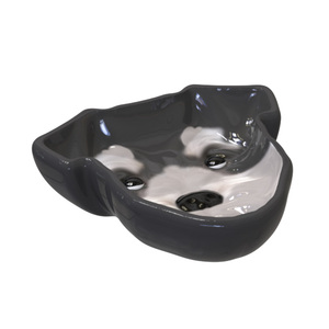 Tazón de Cerámica para Mascotas Estilo <span class=keywords><strong>Schnauzer</strong></span> de Alta Gama OEM, Estilo Europeo Americano de Lujo, Textura Delicada, Plato Personalizado para Mascotas para Suministro al por Mayor - Product Image 2