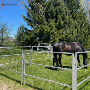Valla de Metal Galvanizado de Alta Calidad para Caballos, Fácil de Instalar, Paneles para Ganado, Económicos para Patios - Product Image 1