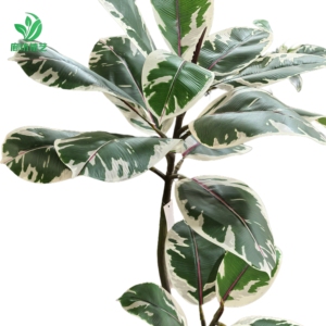 Cao cấp dài thân cây cảm ứng thực sự cao su màu xanh lá cây cây xanh lá nhân tạo Banyan lá cây 110cm mô phỏng nhà máy lá - Product Image 1