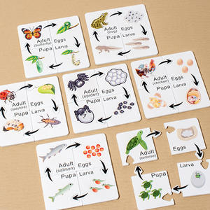 Puzzle de cycle de vie des animaux en bois, matériel <span class=keywords><strong>Montessori</strong></span>, jouet éducatif DIY, jeu d'appariement pour l'école à domicile, <span class=keywords><strong>la</strong></span> maternelle, les tout-petits et les enfants - Product Image 5