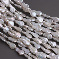 Perles de culture d'eau douce baroques à queue irrégulière, blanches, haute brillance, en vrac, 12-13x20-21mm pour la fabrication de bijoux