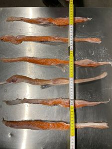 Poitrine <span class=keywords><strong>de</strong></span> saumon <span class=keywords><strong>atlantique</strong></span> surgelée <span class=keywords><strong>de</strong></span> qualité supérieure - Product Image 5