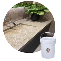 Peinture Liquide de Lavage en Résine de Pierre Lavée de Haute Qualité pour Sol et Mur Imperméable
