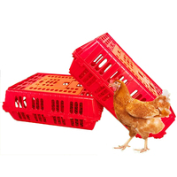 Équipement agricole Caisse de transport en plastique pour volaille pour poulet canard Pigeon caille élevage Chiffre d'affaires Poussin Coop Cage