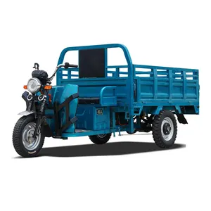 Electric Tricycles 3 Wheel Electric Cargo Bike Back Box Equipped Automatic Lifting Hydraulic Rod