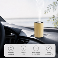 Diffuseurs d'arômes personnalisés Diffuseur professionnel de nébulisation d'huiles essentielles sans eau pour la voiture, l'extérieur, le yoga, la salle de sport et les voyages d'affaires