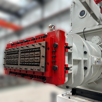 Extrudeuse sous vide entièrement automatique petite machine de fabrication de briques d'argile de terre de boue Machine de bloc de pompe Chine longue durée de vie 21000