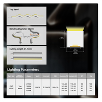 Lumière néon en silicone à pliage supérieur de qualité supérieure, vente en gros d'usine, SMD 2835, DC24V, étanche IP67, flexible, extérieur, 10*10 LED néon