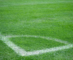 <span class=keywords><strong>Gazon</strong></span> synthétique <span class=keywords><strong>gazon</strong></span> tapis sol pelouse <span class=keywords><strong>gazon</strong></span> artificiel pour terrains de football <span class=keywords><strong>gazon</strong></span> synthétique tapis <span class=keywords><strong>gazon</strong></span> vert tapis gymnastique <span class=keywords><strong>gazon</strong></span> - Product Image 4