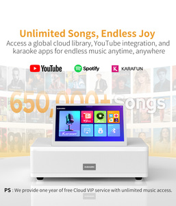 เครื่องเล่นคาราโอเกะออลอินวันแบบมืออาชีพ หน้าจอสัมผัส 500GB ระบบคัดเพลงด้วยเสียง MS6 เครื่องเล่นคาราโอเกะออลอินวันแบบมืออาชีพ - Product Image 6