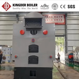 Grande chaudière industrielle à vapeur 1,25 MPa DZW à grille à mouvement alternatif pour granulés de biomasse, 4 tonnes/h, faible accumulation de cendres, en acier inoxydable - Product Image 2