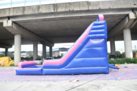 Hot Sale aufblasbare Spiele für Kinder aufblasbare Wasser rutsche für Kinder Spring burg mit Rutsche und Pool Hüpfburg