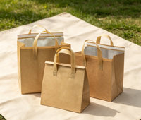 Sac isotherme en papier kraft, personnalisable avec logo, doublure en aluminium, sac de livraison en gros, gaufrage, pelliculage mat