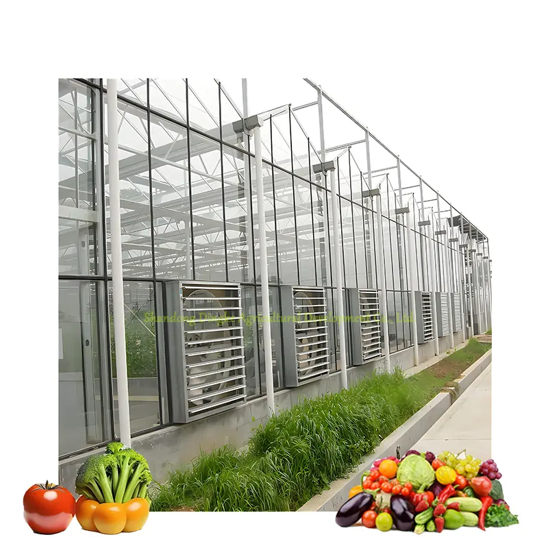 Intelligent Glass Greenhouse Framework Vegetable Flower Cultivation Cultivation Steel Frame Can Grow Vegetable