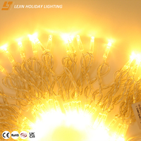 Guirlande lumineuse LED blanche chaude de 10 m pour extérieur, personnalisable, commerciale, de Noël, en PVC, étanche IP44, garantie 2 ans
